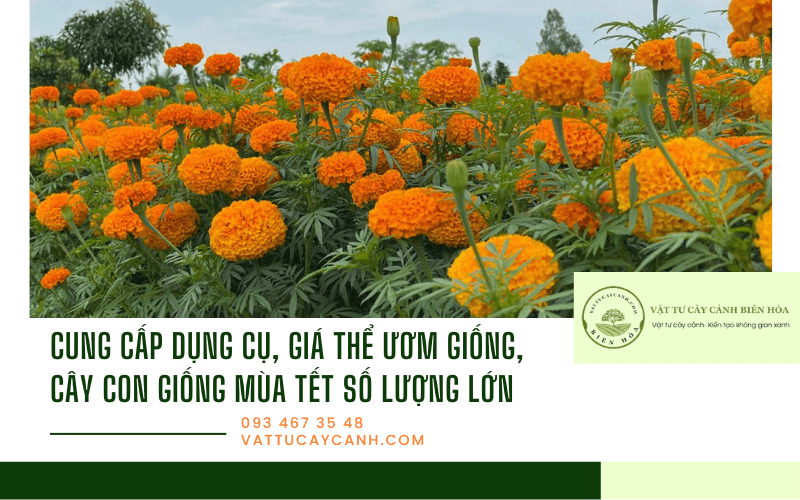 vật tư cây cảnh