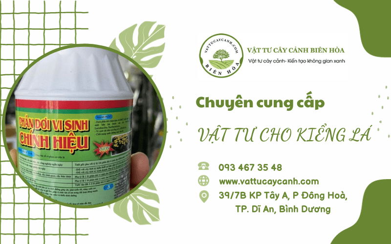 vật tư kiểng lá