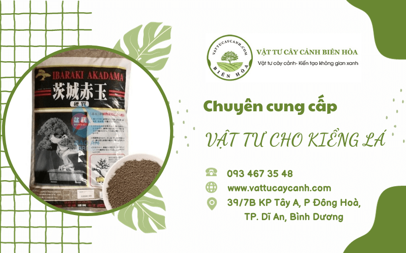 vật tư kiểng lá