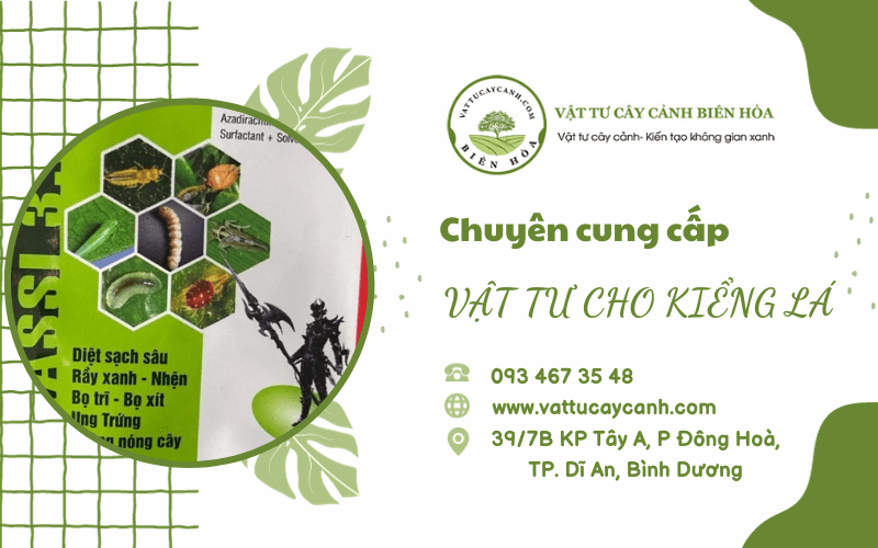 vật tư kiểng lá