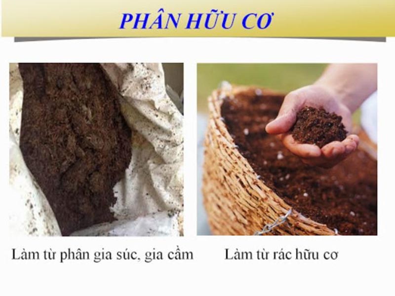 phân bón hữu cơ