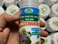 Canxi Bo