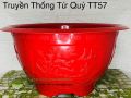 Chậu truyền thống tứ quý