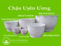 Chậu uyên ương 