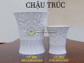 Chậu trúc