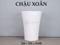 Chậu xoắn 