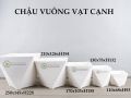 Chậu vuông vạt cạnh