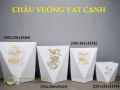 Chậu vuông vạt cạnh