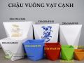 Chậu vuông vạt cạnh