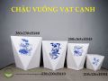 Chậu vuông vạt cạnh