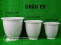 Chậu EU