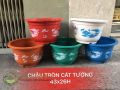 Chậu tròn cát tường