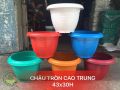 Chậu tròn cao trung