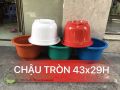 Chậu tròn