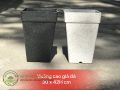Chậu vuông cao giả đá