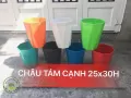Chậu tám cạnh 