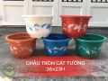 Chậu tròn cát tường 
