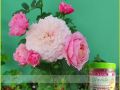 Phân Tan Chậm RYNAN FLOWERMATE 240 NPK 14-14-14+TE Chuyên Dùng Cho Các Loại Cây Kiểng Có Hoa 