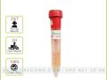 Keiki Duy Đỏ - Kích Mầm Và Chồi Phong Lan Dạng Bôi Trực Tiếp