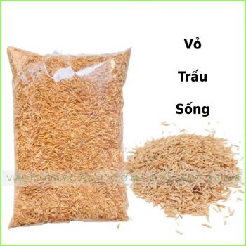 Giá Thể Vỏ Trấu Sống- Trộn Với Đất - Trồng Rau, Hoa Kiểng