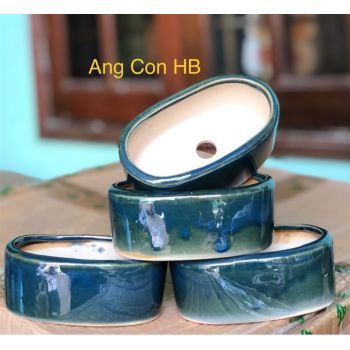 Chậu Ang con hoả biến