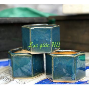 Chậu lục giác hoả biến 