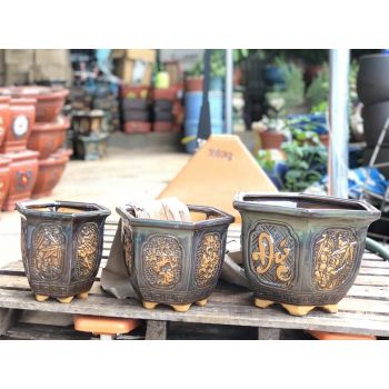 Chậu phúc đức hoả biến 