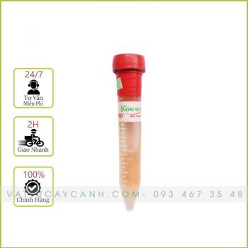 Keiki Duy Đỏ - Kích Mầm Và Chồi Phong Lan Dạng Bôi Trực Tiếp