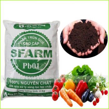 Phân Trùn Quế Cao Cấp Nguyên Chất Sfarm - Trồng Rau Màu Và Hoa Kiểng