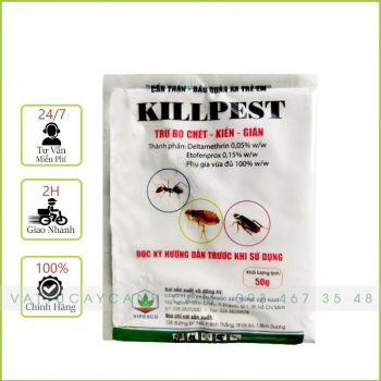 Phấn Diệt Kiến, Bọ Chét, Gián KillPest Dạng Bột