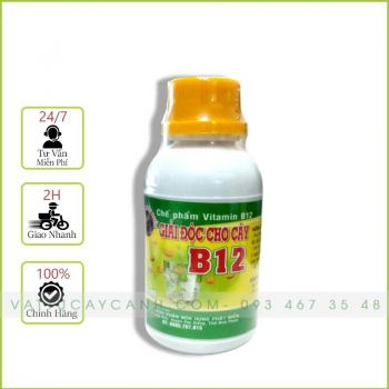 Chế Phẩm Vitamin B12 Giải Độc Cho Cây Trồng 