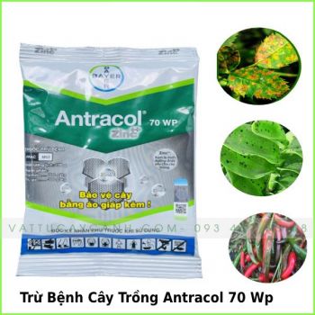 Thuốc Trừ Nấm Bệnh Hoa Hồng, Hoa Lan, Cây Kiểng, Cây Trồng Antracol 