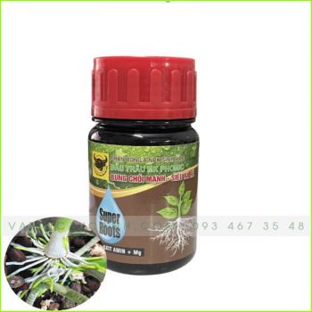 PBL Sinh Học - Đầu Trâu MK Phomix - Super Roots - Bung Chồi Mạnh, Siêu Ra Rể 