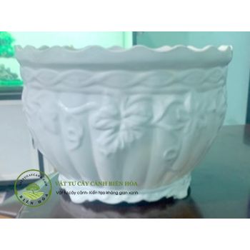 Chậu bí