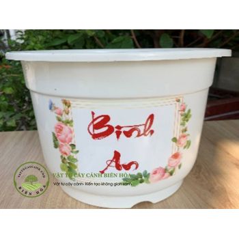Chậu Cát tường