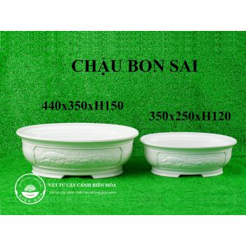 Chậu bon sai