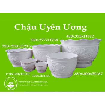 Chậu uyên ương 