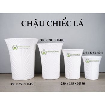 Chậu chiếc lá