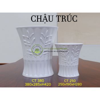 Chậu trúc