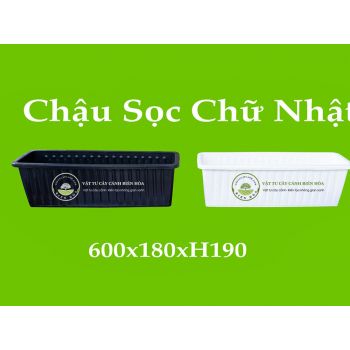 Chậu sọc chữ nhật