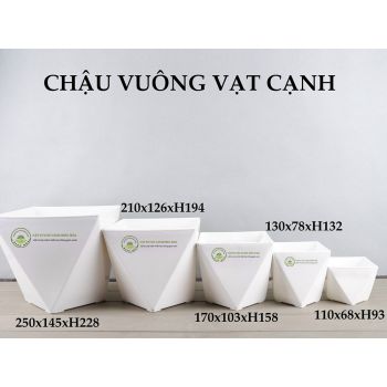 Chậu vuông vạt cạnh