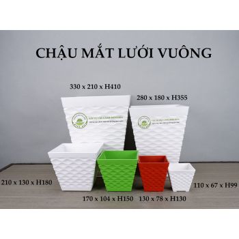 Chậu mắt lưới vuông