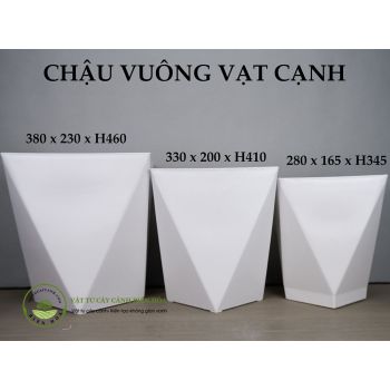 Chậu vuông vạt cạnh