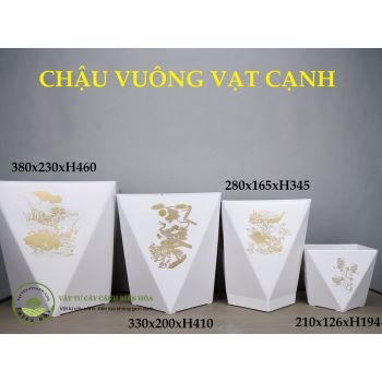 Chậu vuông vạt cạnh