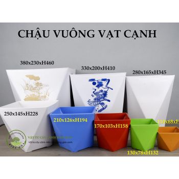 Chậu vuông vạt cạnh