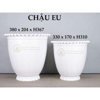 Chậu EU