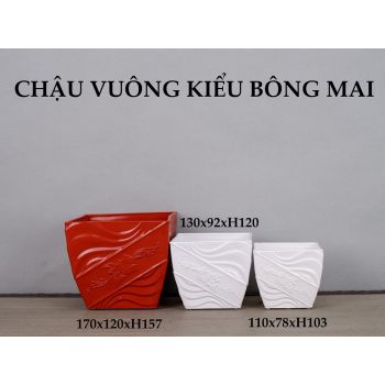 Chậu vuông kiểu bông mai