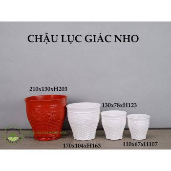 Chậu lục giác nho