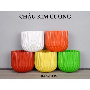 Chậu kim cương