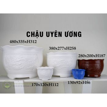 Chậu uyên ương 